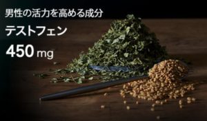 活力支援サプリ