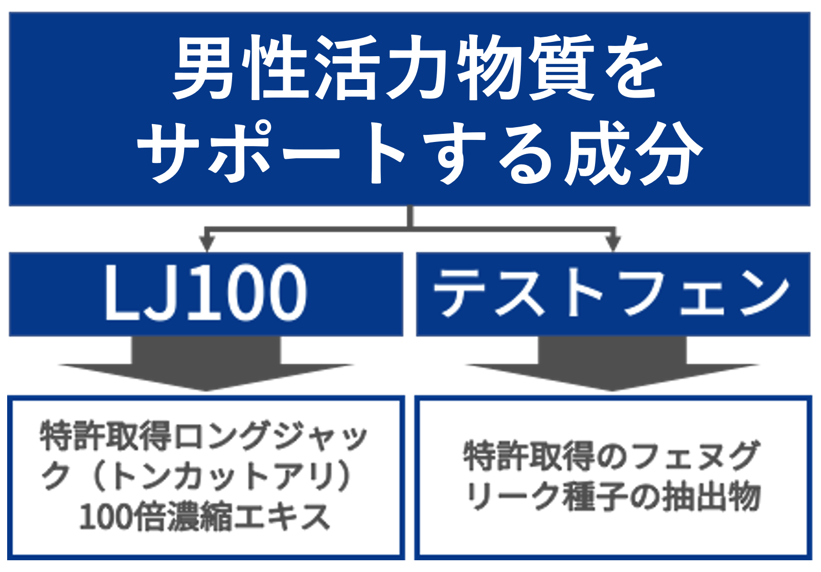 比較ページ挿入画像